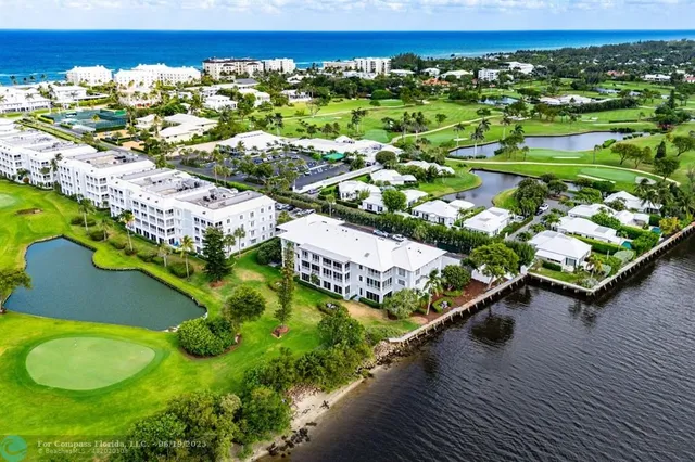 a view of a swimming pool with lawn chairs and plants