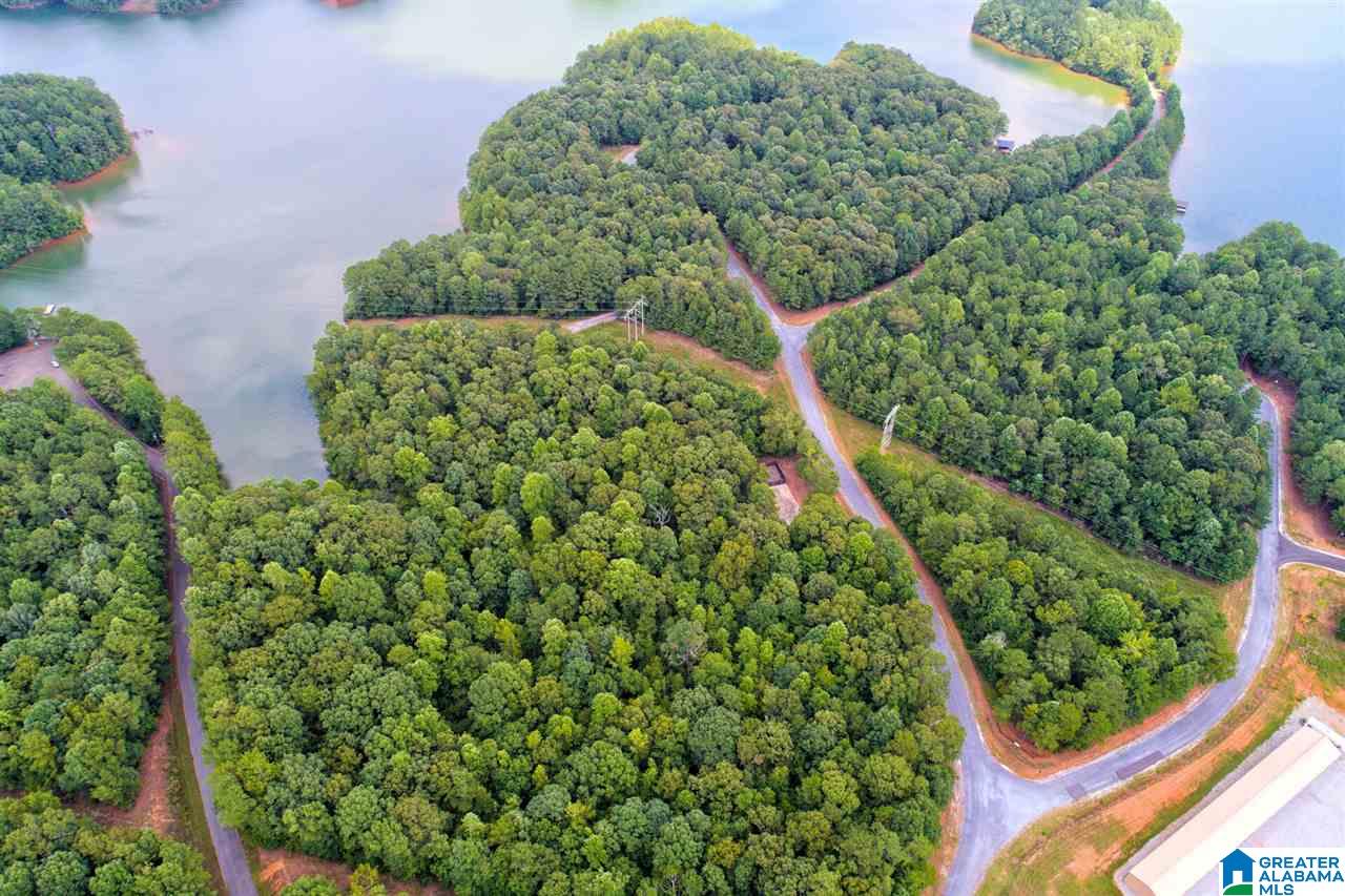 Lot # Jackson Trail, Unit 15 Lineville, AL 36266 - Photo 6 of 17