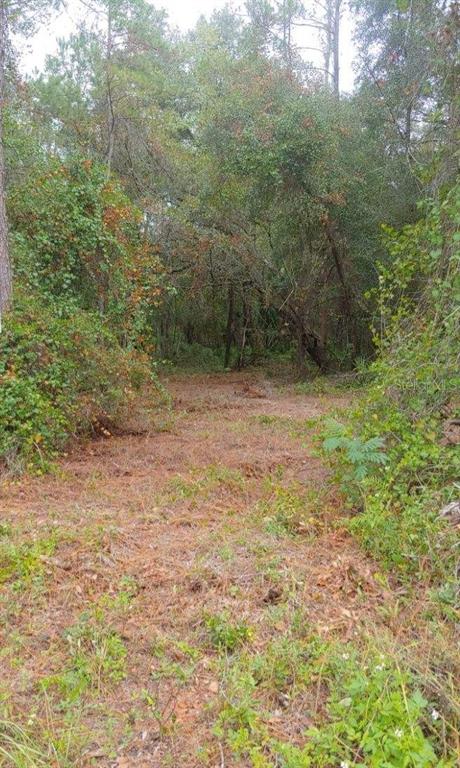 0 Northeast 148th Terrace Road Fort McCoy, FL 32134 - Photo 6 of 7 Gallery Image 6