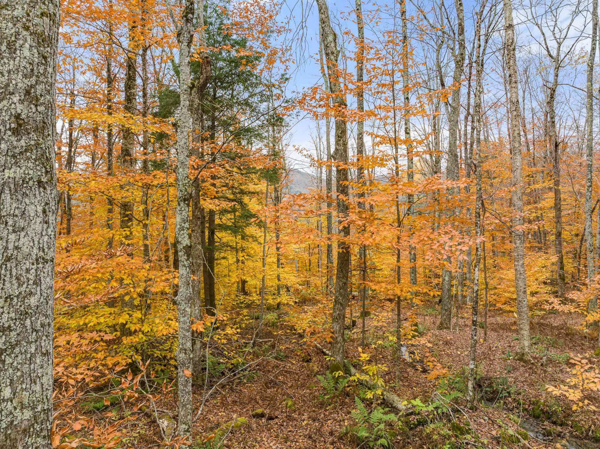 Tbd Boyce Road, Unit 3 Moretown, VT 05660 - Photo 12 of 15