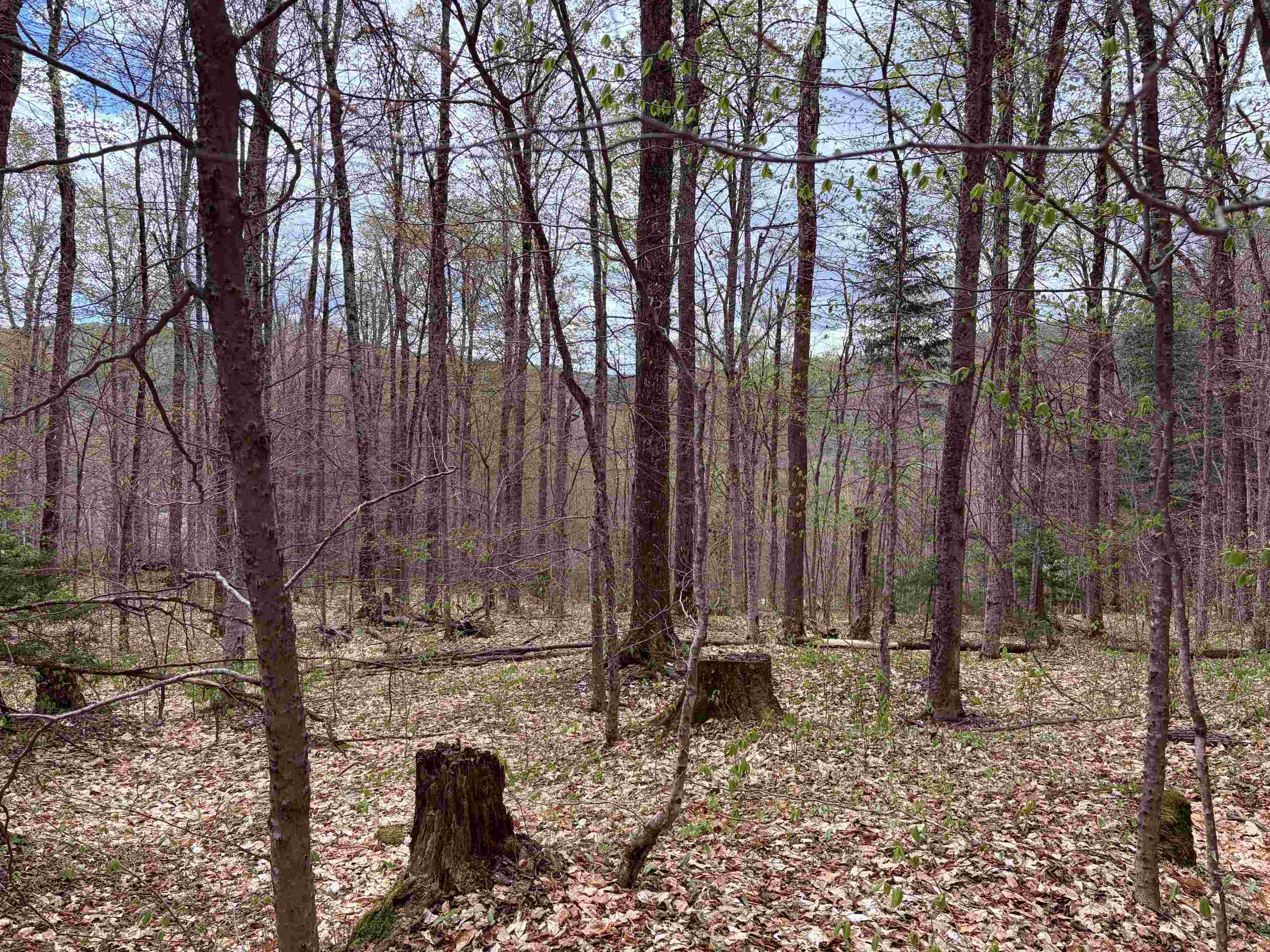 Tbd Boyce Road, Unit 3 Moretown, VT 05660 - Photo 4 of 17