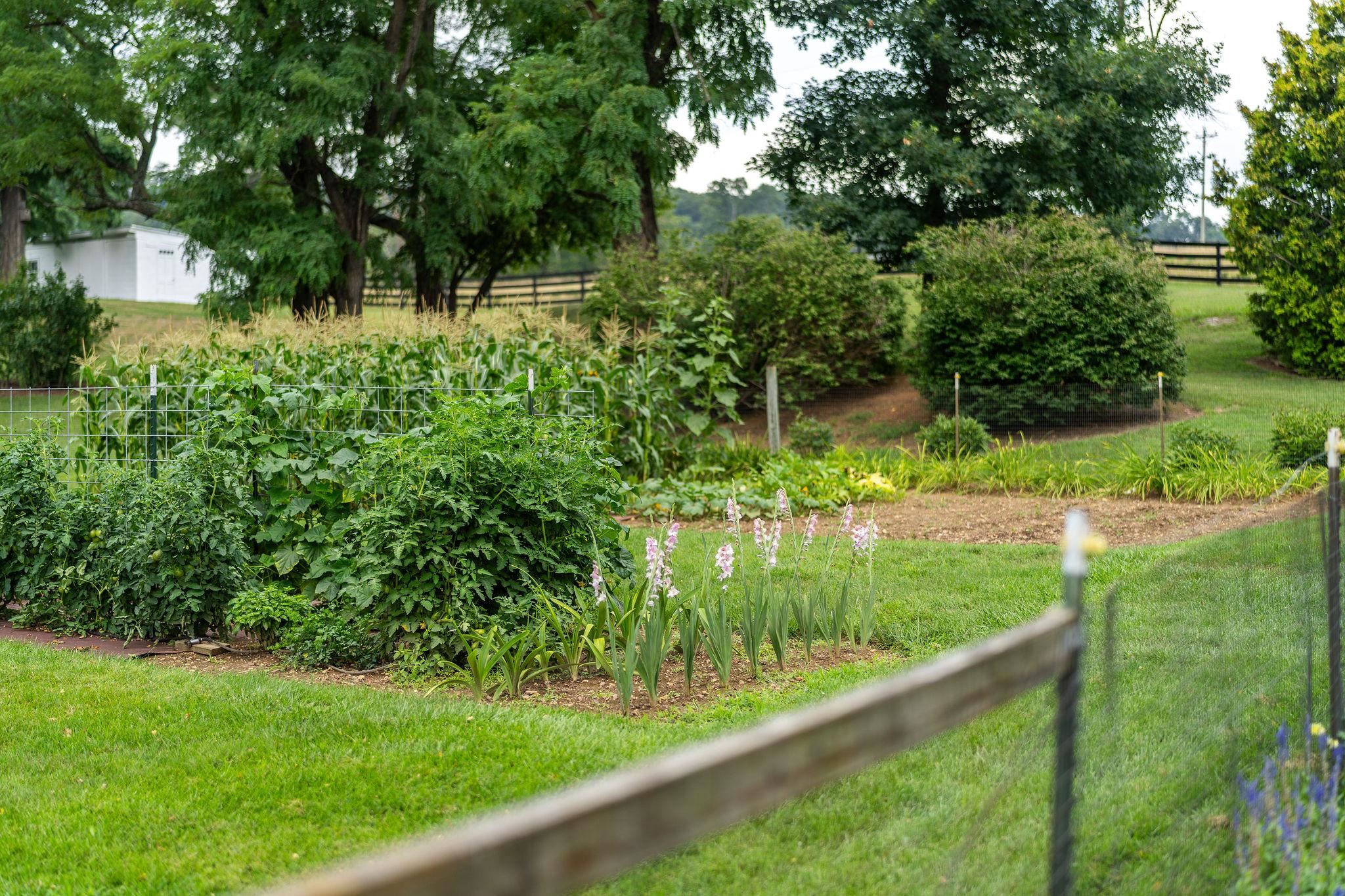 141 Lea Port Road Mount Sidney, VA 24467 - Photo 57 of 72 Gallery Image 57
