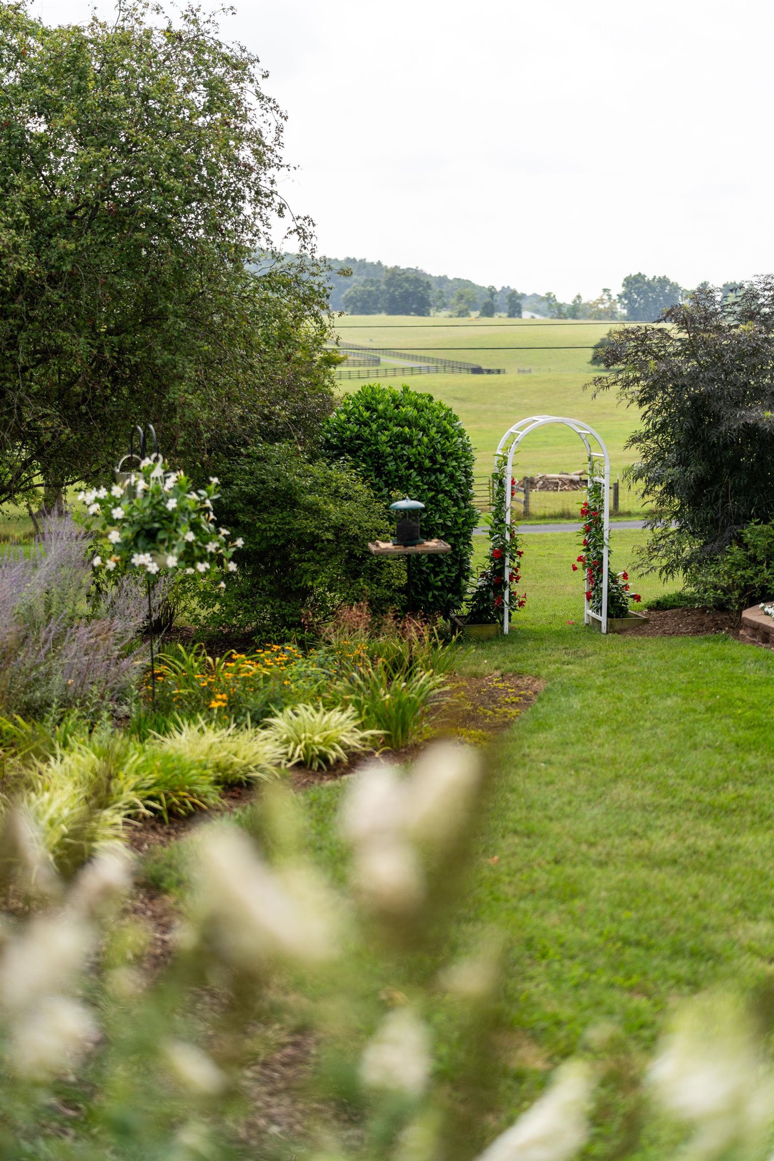 141 Lea Port Road Mount Sidney, VA 24467 - Photo 61 of 72 Gallery Image 61
