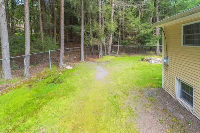 a view of a backyard with plants and large trees