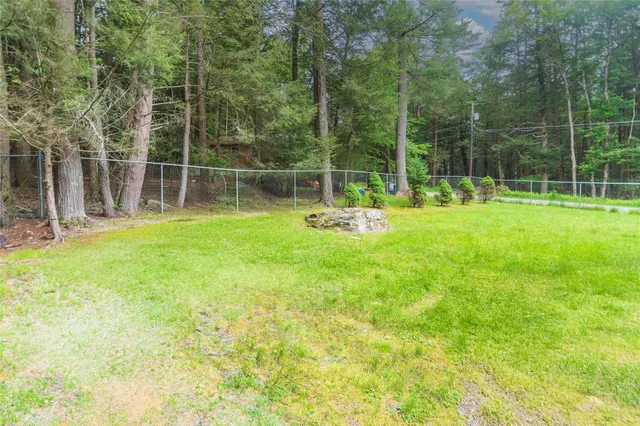 a view of a park with a large tree