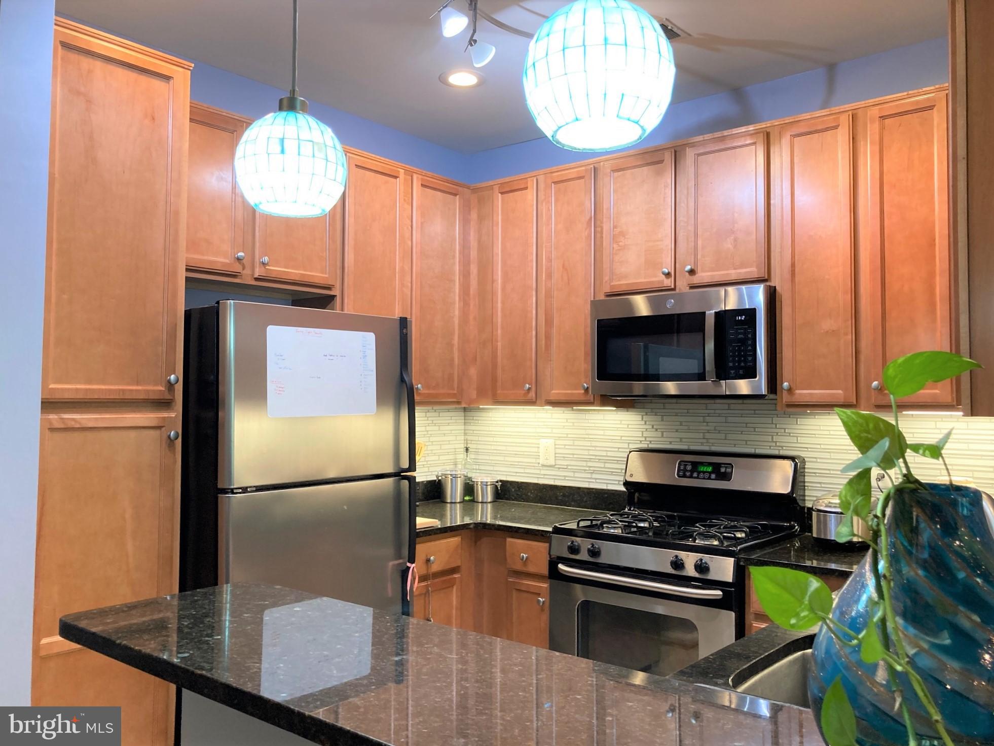 1509 North Point Drive, Unit 303 Reston, VA 20194 - Photo 6 of 30 Kitchen with GAS cooking