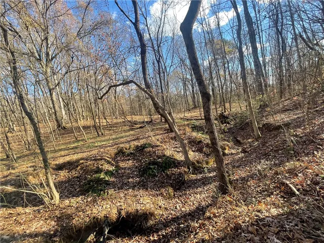 $550,000 | 0 Mill Creek Road, Blacksburg, SC 29702