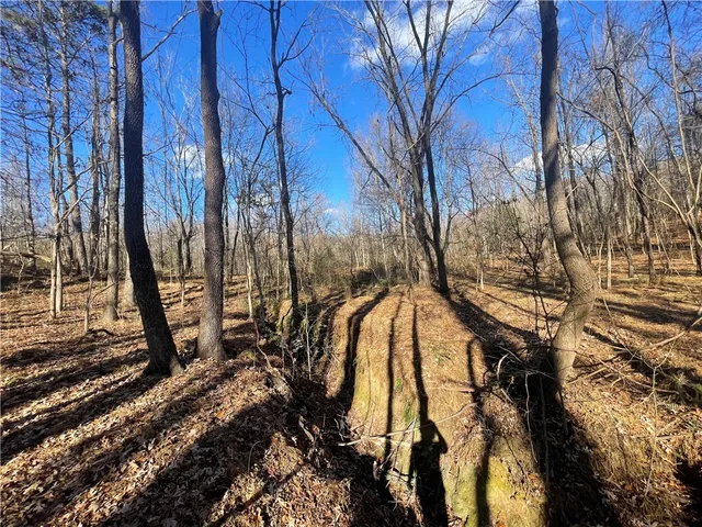 $550,000 | 0 Mill Creek Road, Blacksburg, SC 29702