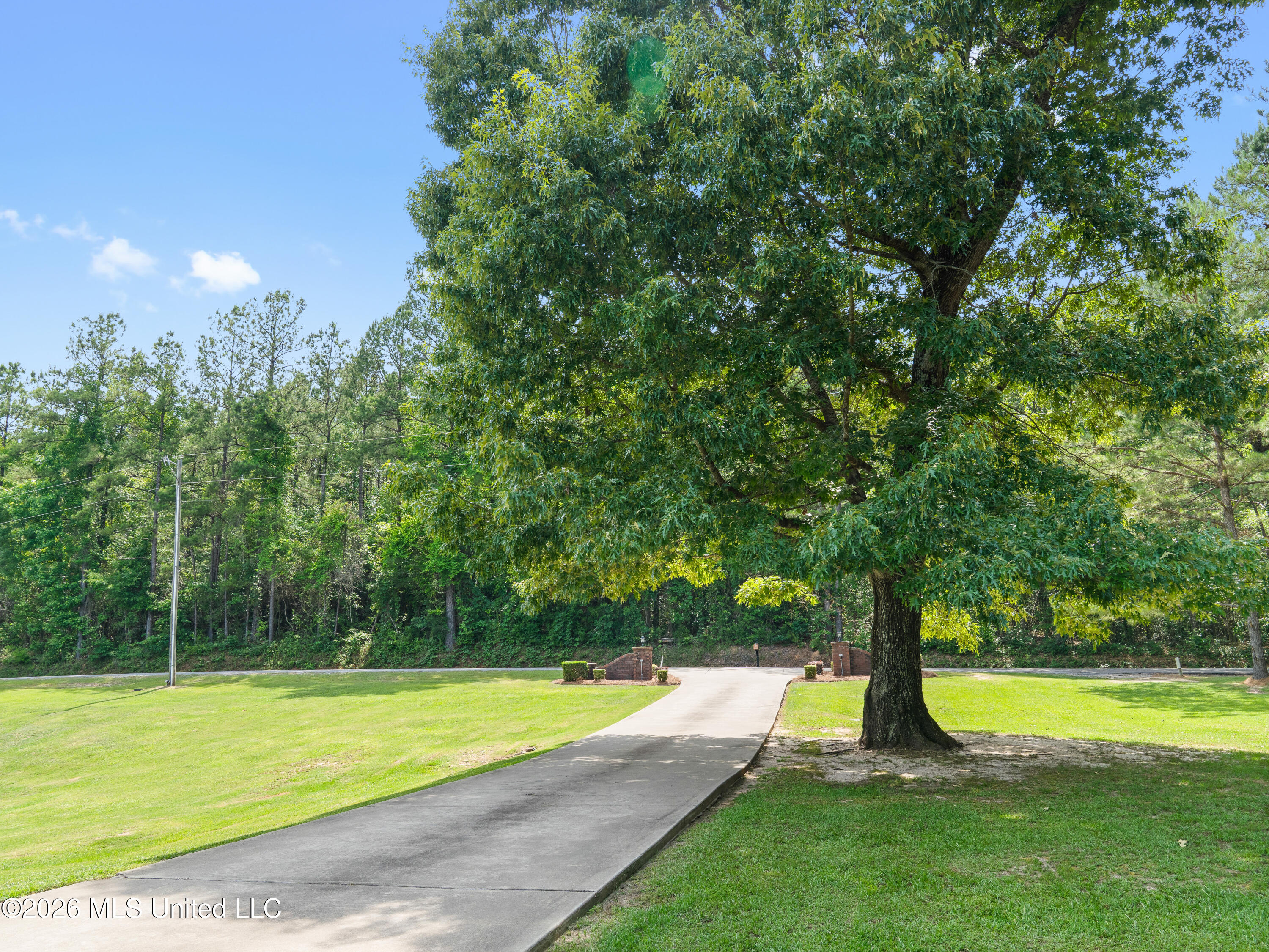 336 Toby Landrum Road Waynesboro, MS 39367 - Photo 7 of 106 A7402988
