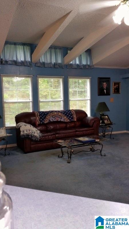 546 Broken Arrow Creek Road Riverside, AL 35135 - Photo 14 of 50
