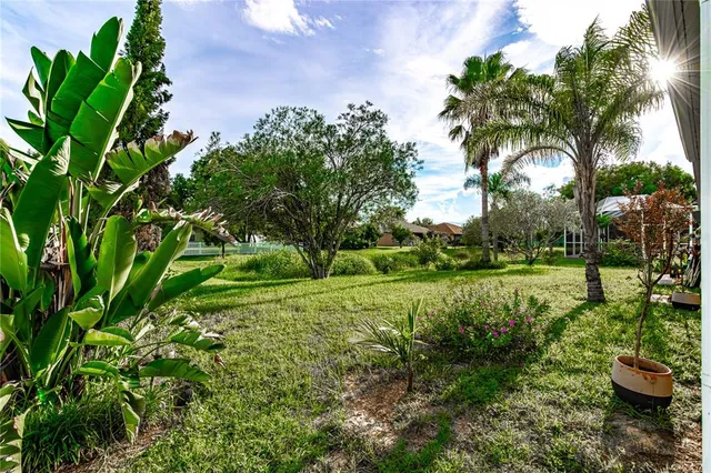 a view of a garden with an trees