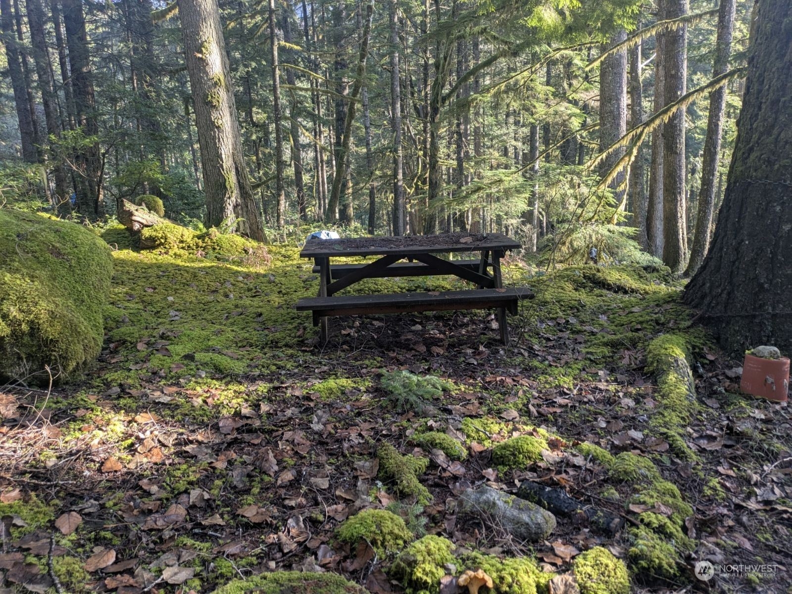 64368 Cascade River Road Marblemount, WA 98267 - Photo 11 of 18 Gallery Image 11