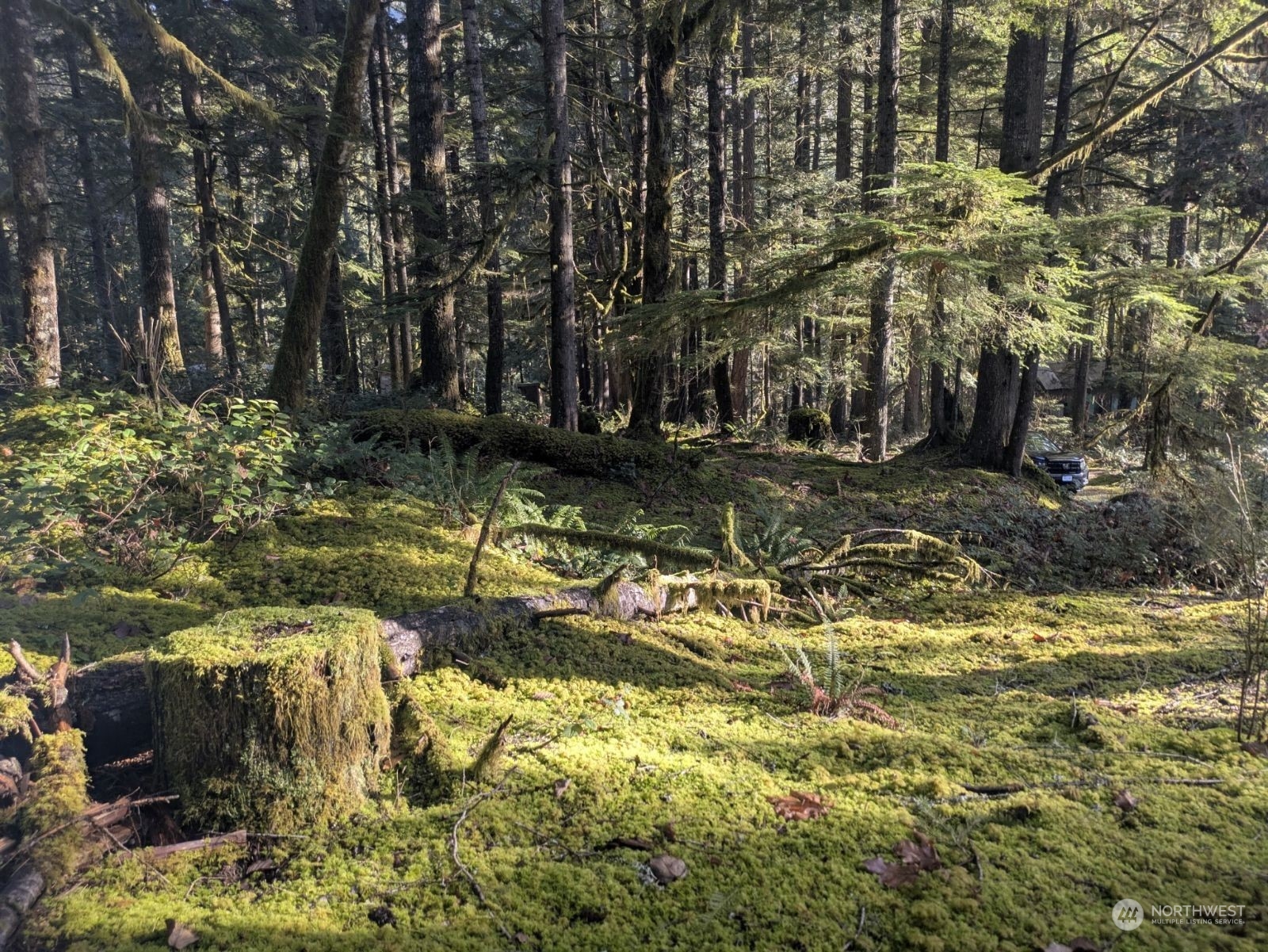 64368 Cascade River Road Marblemount, WA 98267 - Photo 13 of 18 Gallery Image 13