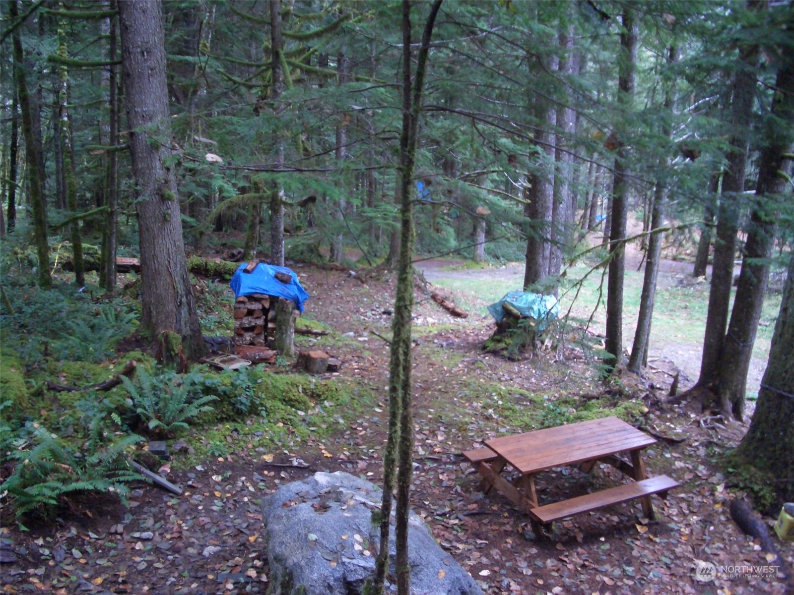 64368 Cascade River Road Marblemount, WA 98267 - Photo 16 of 18 Gallery Image 16