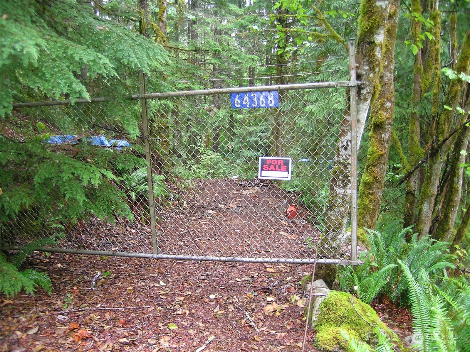 64368 Cascade River Road Marblemount, WA 98267 - Photo 4 of 18 Gallery Image 4