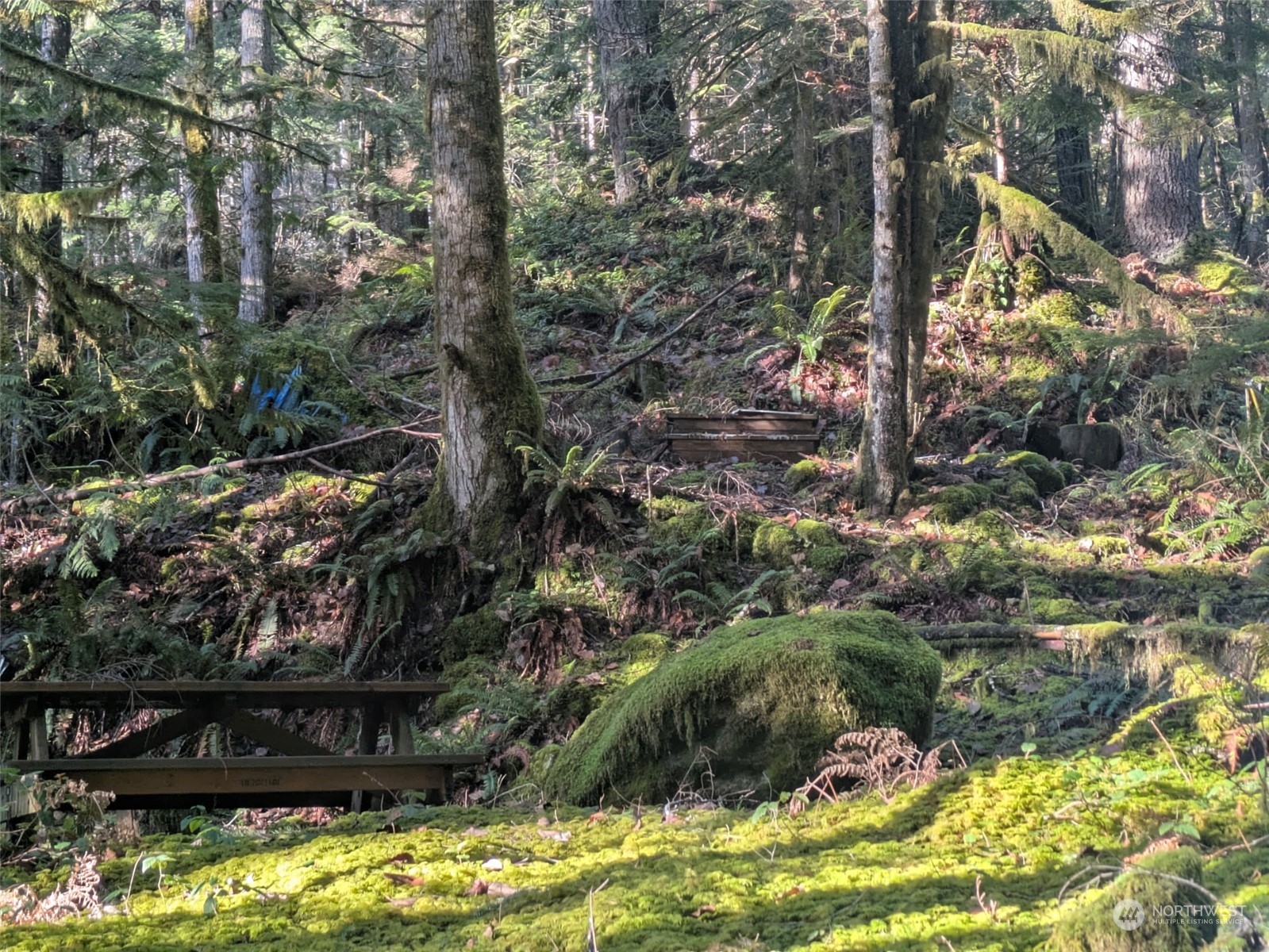 64368 Cascade River Road Marblemount, WA 98267 - Photo 7 of 18 Gallery Image 7