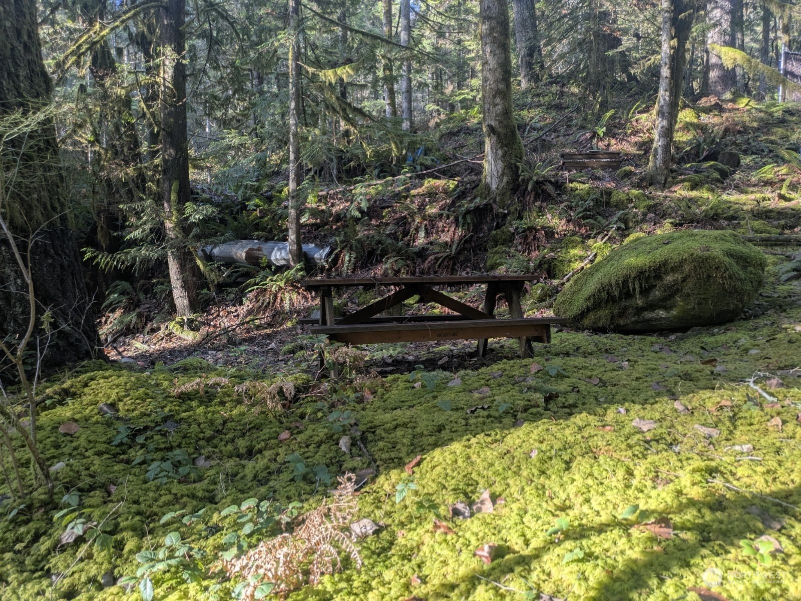 64368 Cascade River Road Marblemount, WA 98267 - Photo 10 of 18 Gallery Image 10