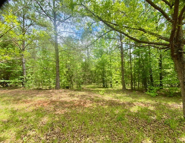 0 Pete Johnson Road Tignall, GA 30668 - Photo 11 of 43 Top food plot area