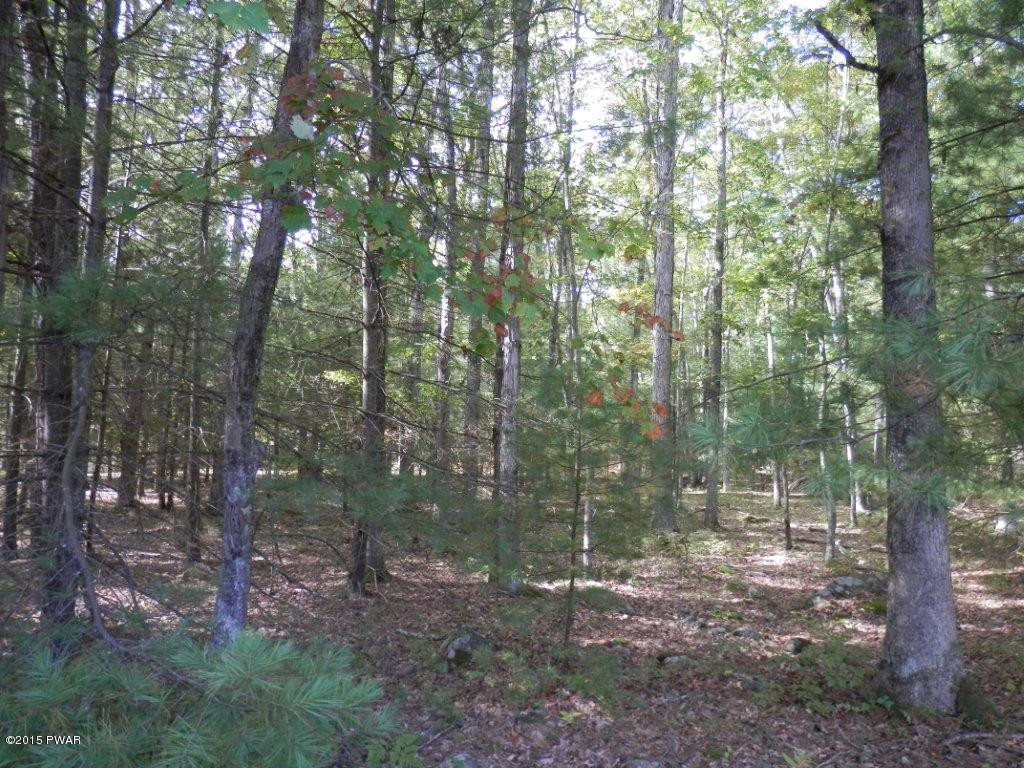 Lot 28 Rowland Road Greeley, PA 18425 - Photo 3 of 3