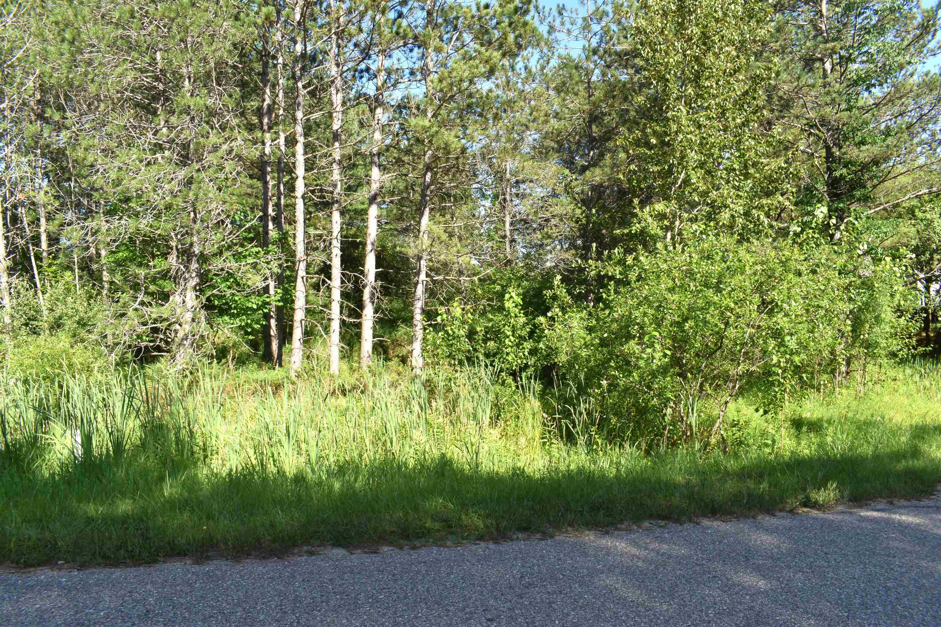 5486 Knights Way Gladwin, MI 48624 - Photo 3 of 7