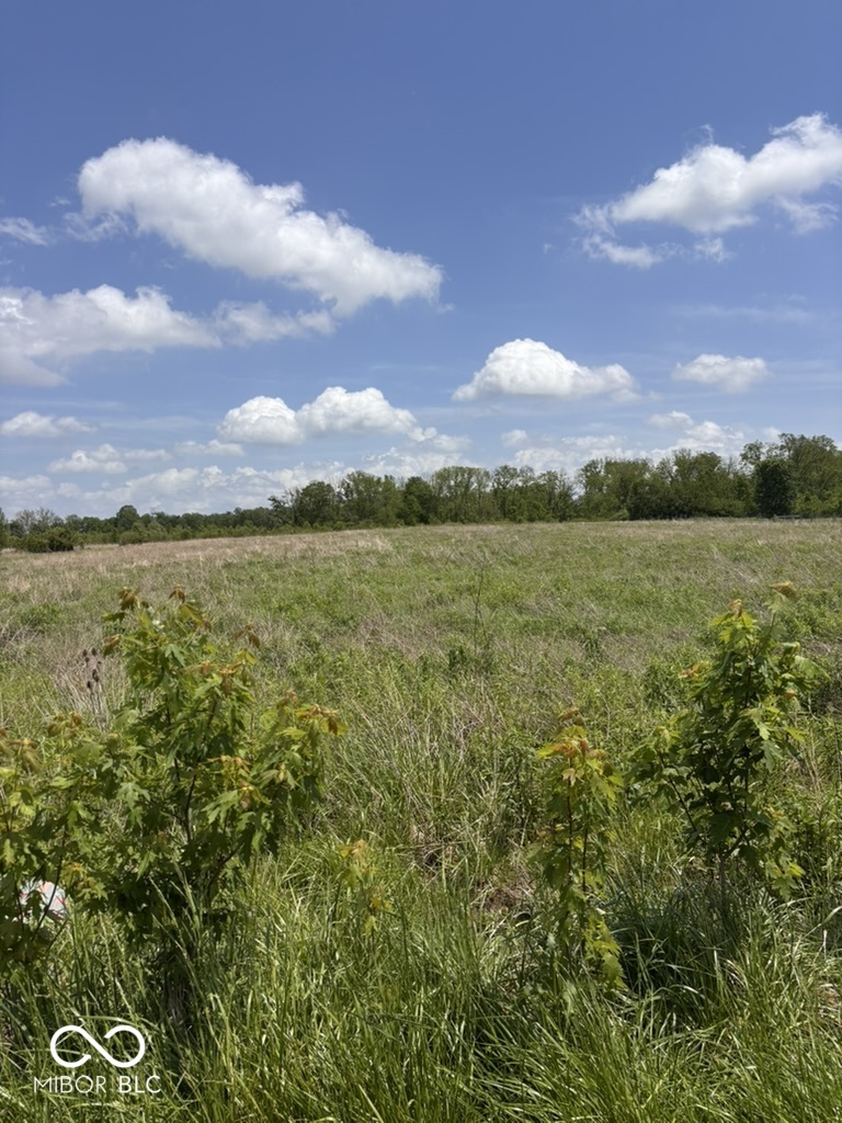 7145 Mann Road Indianapolis, IN 46221 - Photo 71 of 78