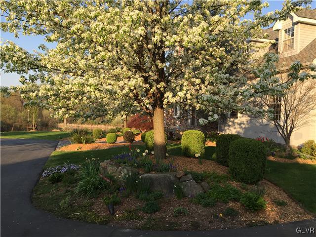 135 Kichline Road Hellertown, PA 18055 - Photo 4 of 43 a backyard of a house with lots of green space