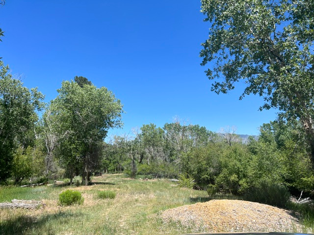 865 South Bullion Canyon Road, Unit 3 Marysvale, UT 84750 - Photo 7 of 30