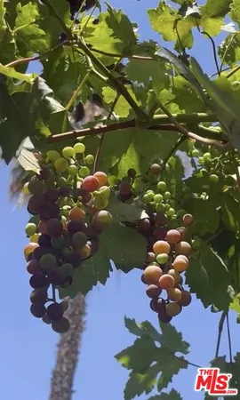 $5,200 | 3541 5th Street, Riverside, CA 92501