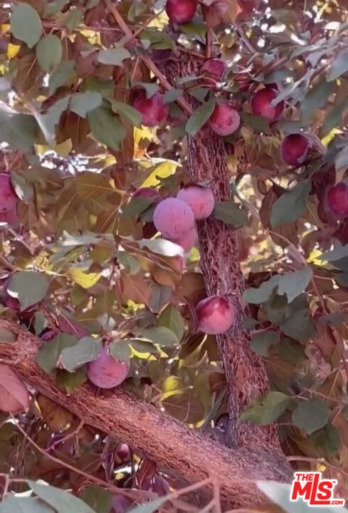 3541 5th Street Riverside, CA 92501 - Photo 56 of 56