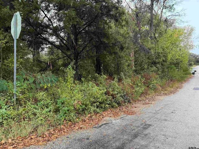 a view of a dry yard with trees all around