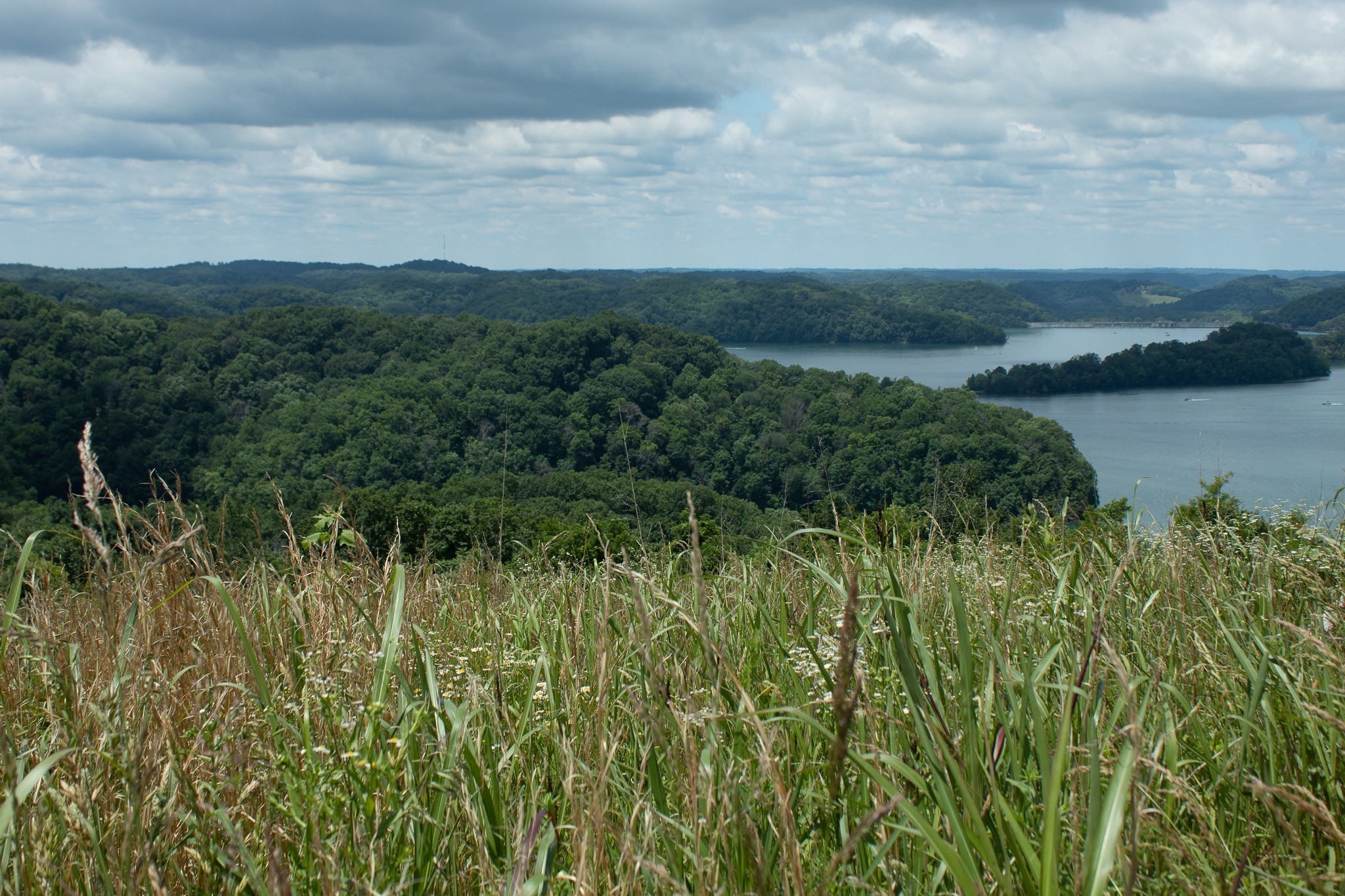 73 B Swan Ridge Road Celina, TN 38551 - Photo 22 of 34 a view of a lake with a city