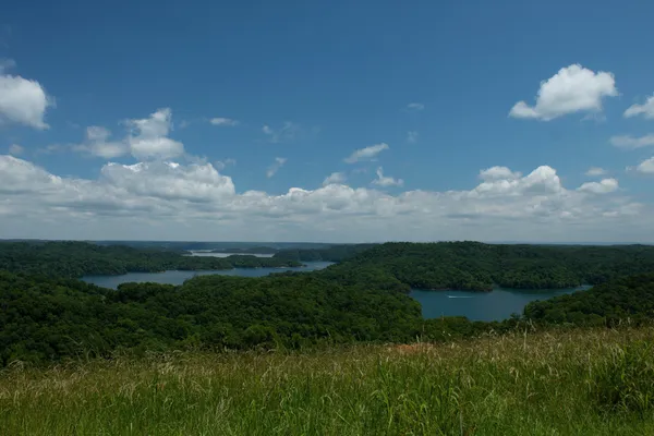 a view of outdoor and green space