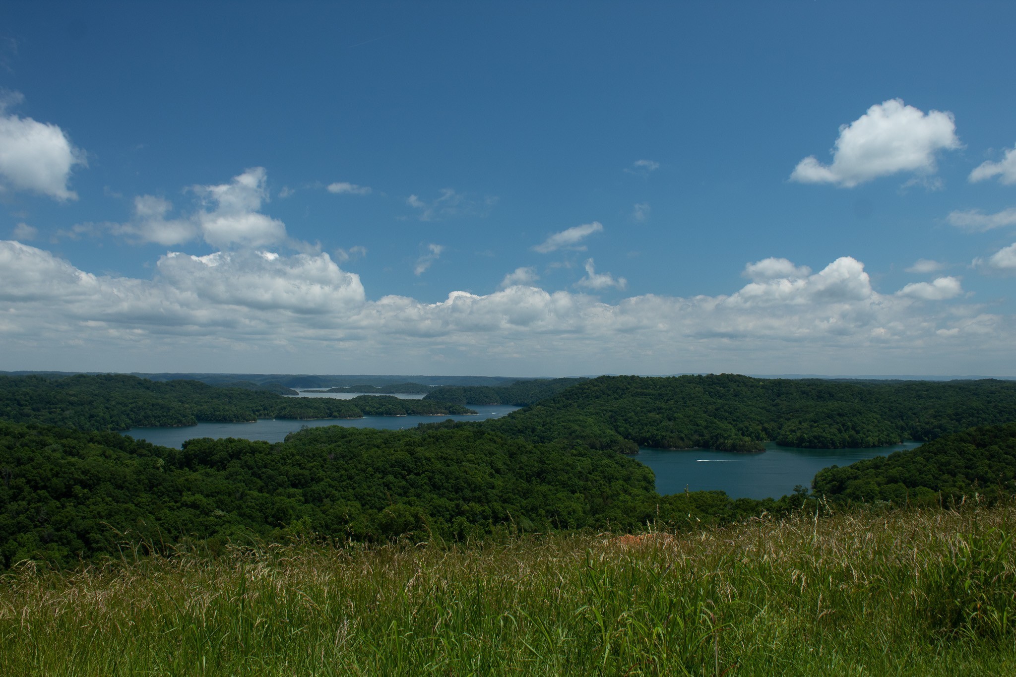 73 B Swan Ridge Road Celina, TN 38551 - Photo 23 of 34 a view of a bunch of plants and trees