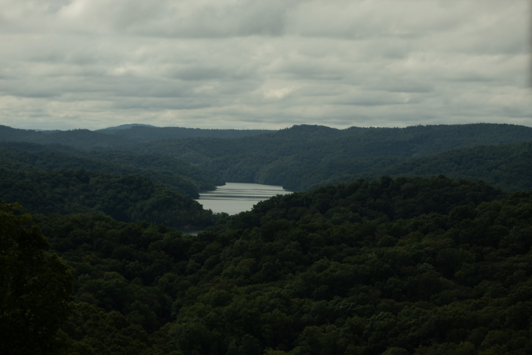 73 B Swan Ridge Road Celina, TN 38551 - Photo 28 of 34 a view of a backyard with green space