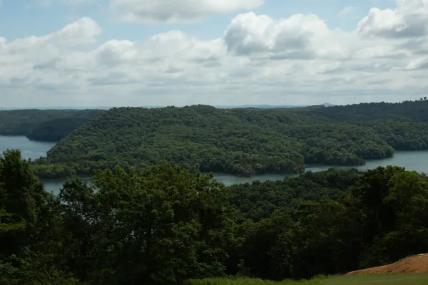 a view of a yard with houses