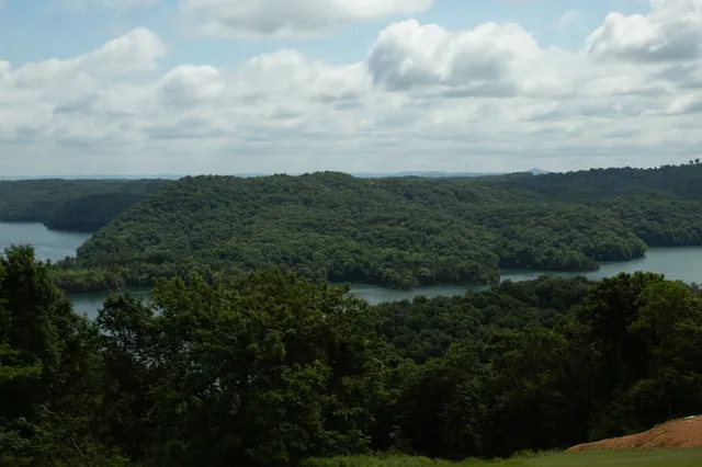 a view of a yard with houses