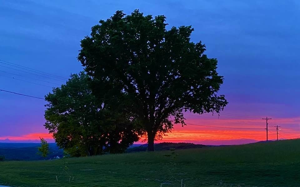 73 B Swan Ridge Road Celina, TN 38551 - Photo 7 of 34