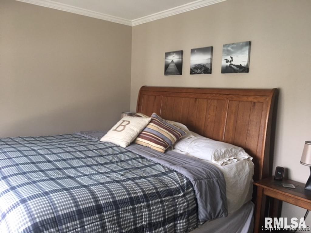 796 Pine Knob Road Petersburg, IL 62675 - Photo 20 of 34 Gallery Image 20
