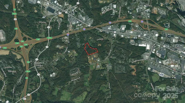 a close up of a tree