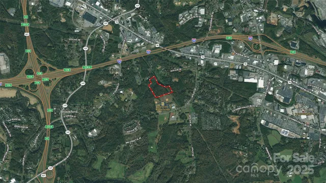 a close up of a tree