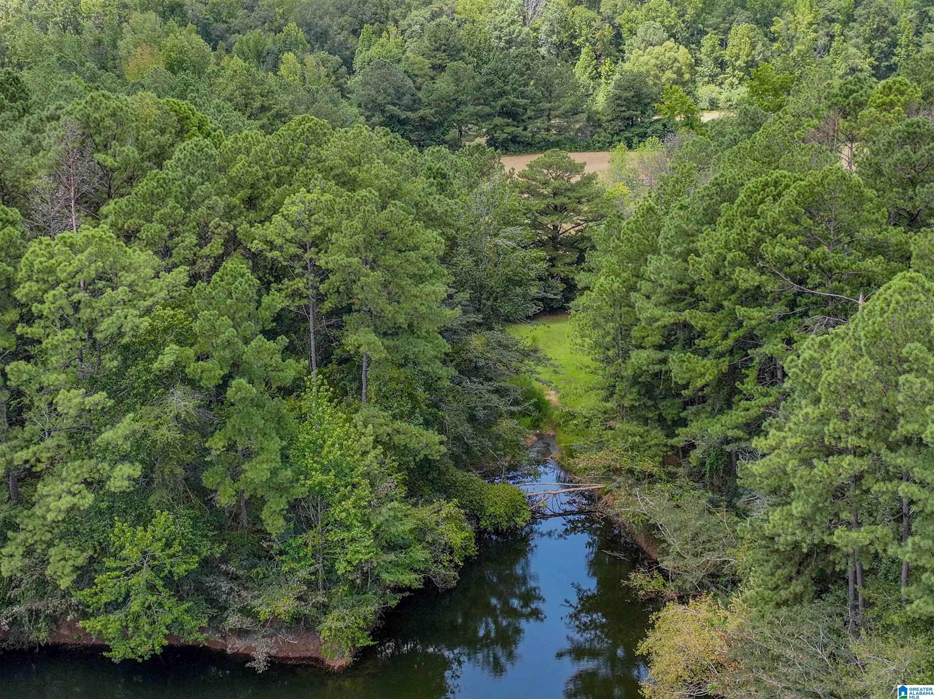 11643 Carter Road Vance, AL 35490 - Photo 4 of 10