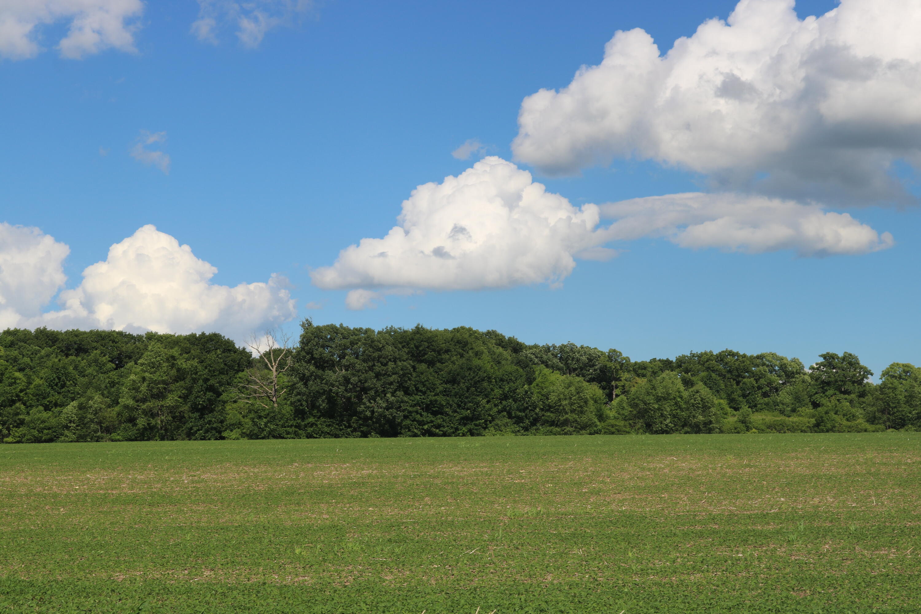 Lt263200 East Hancock Road Watertown, WI 53098 - Photo 2 of 4 IMG_1587