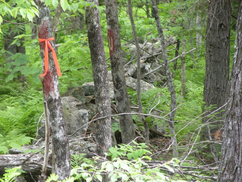 0 Ryerson Hill Road South Paris, ME 04281 - Photo 8 of 9 Photo