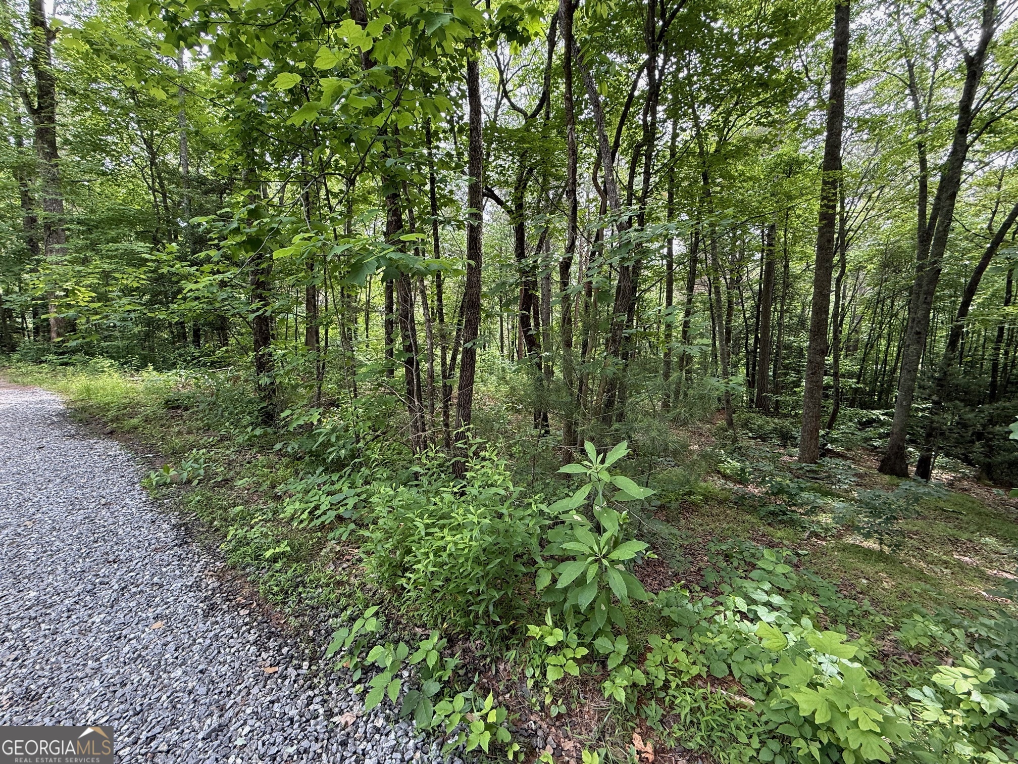 0 Mr Bert Road Hiawassee, GA 30546 - Photo 4 of 22