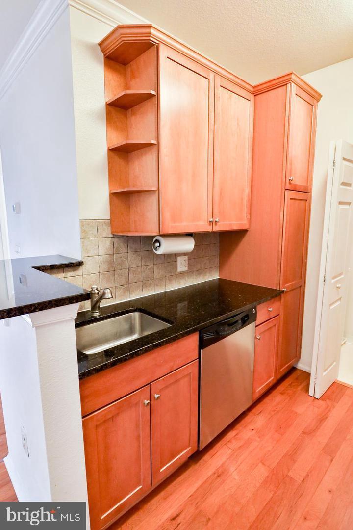 11750 Old Georgetown Road, Unit 2401 Rockville, MD 20852 - Photo 5 of 15