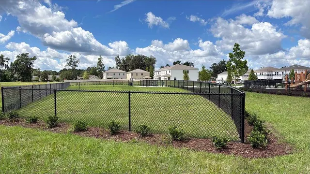 a view of a golf ground with a large trees