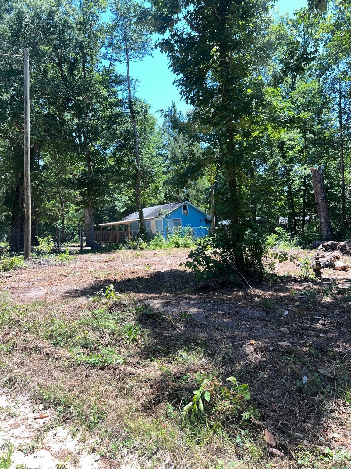400 Carson Roberson Road Livingston, TX 77351 - Photo 2 of 10 a view of outdoor space with green field and trees