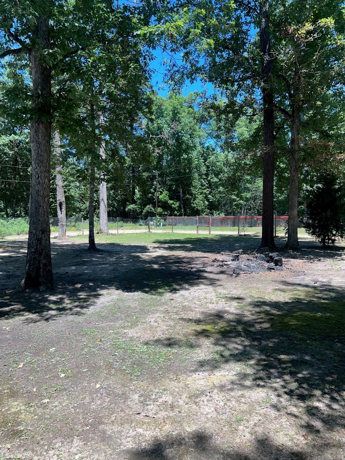 400 Carson Roberson Road Livingston, TX 77351 - Photo 3 of 10 a view of park with tree