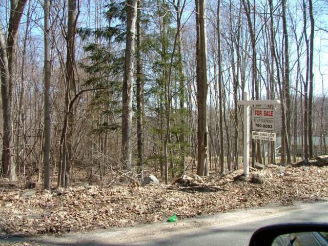 139 B Chambers Road Danbury, CT 06811 - Photo 1 of 1 a view of a backyard