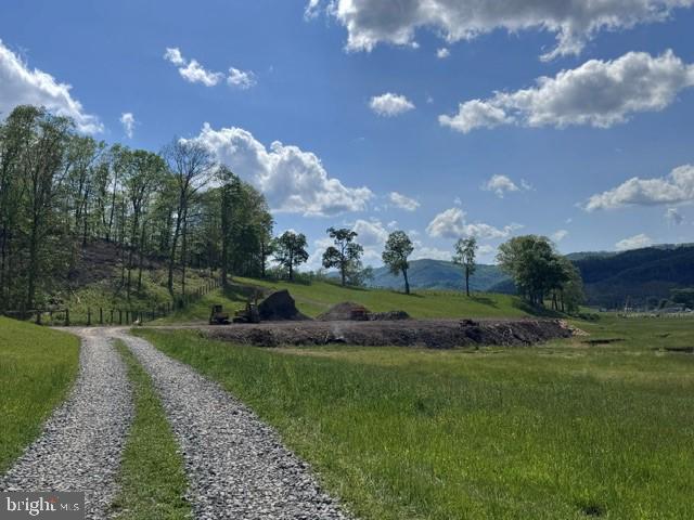 Tbd Shaffers Run Road Mill Creek, WV 26280 - Photo 25 of 43